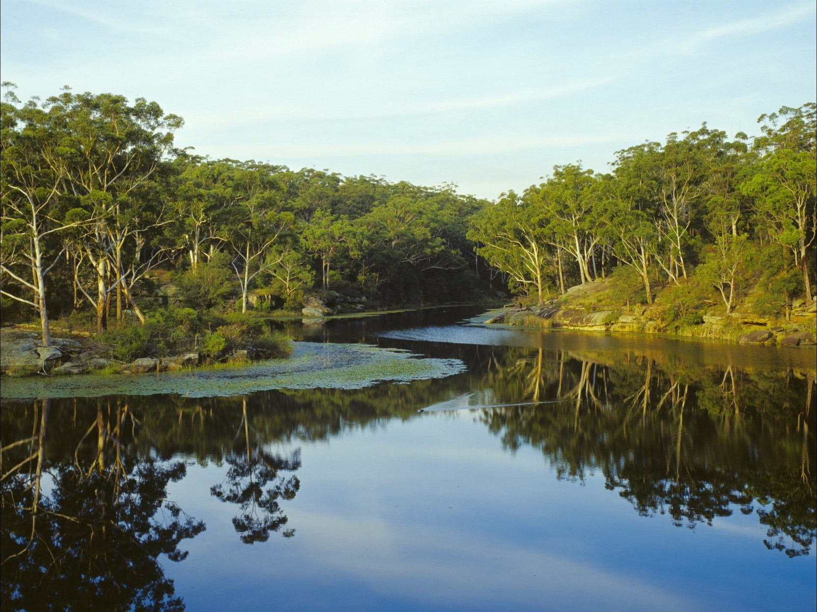 Lake Parramtta