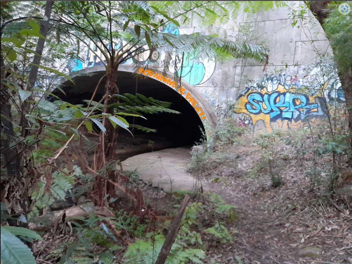 Grafitti