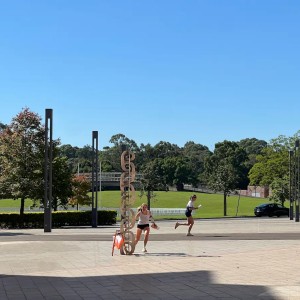 IMG 7458